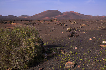 Image showing Volcanic park on Canary Islands