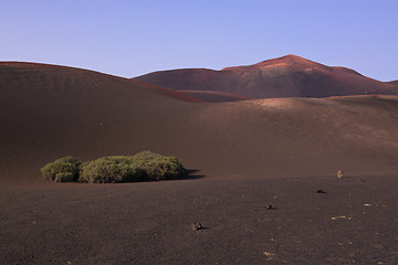 Image showing Volcanic park Timanfaya