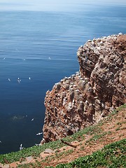 Image showing red cliff of Helgoland