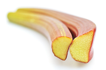 Image showing rhubarb