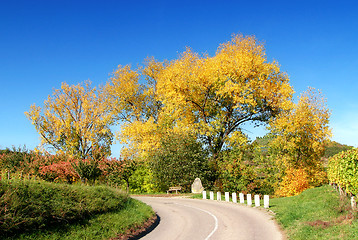 Image showing Autumn Colours