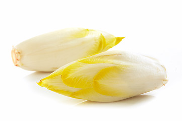 Image showing fresh Chicory on white background