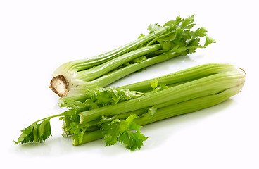 Image showing fresh green celery