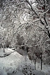 Image showing Urban Snow