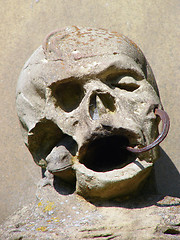 Image showing Graveyard Skull