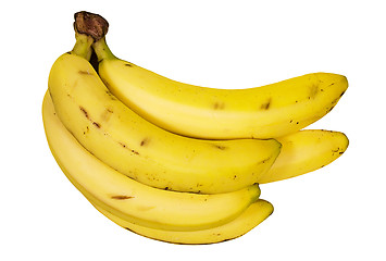 Image showing Bunch of Bananas (Path Included)