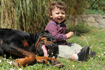 Image showing rottweiler and child