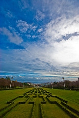 Image showing Avenida da Liberdade