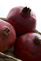 Image showing pomegranates