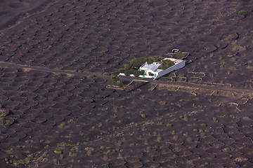 Image showing Plantation on Canary Islands