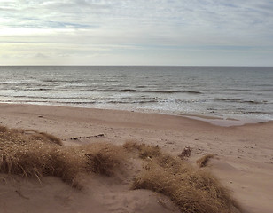 Image showing sandy coastline in north denmark