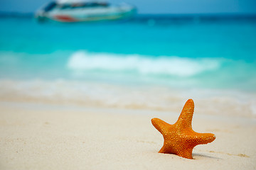 Image showing Starfish on the beach.