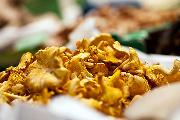 Image showing fresh chanterelle