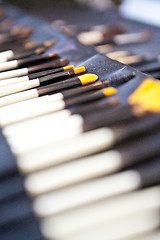 Image showing make up brushes in a case closeup