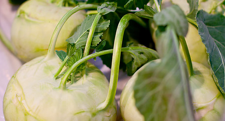 Image showing fresh turnib cabbage closeup 