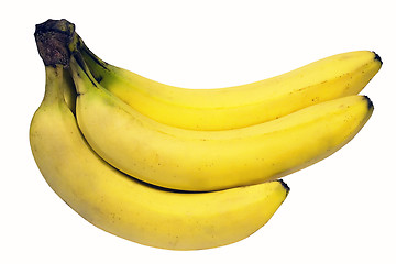 Image showing Bunch of Bananas w/ Path