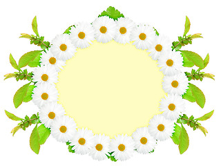 Image showing Ellipse frame with white flowers