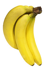 Image showing Bunch of Bananas w/ Path