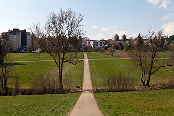 Image showing beautiful sunny spring day in the forest 