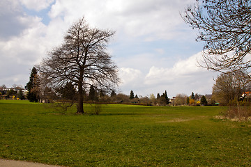 Image showing beautiful sunny spring day in the forest 