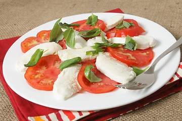 Image showing Caprese salad