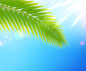 Image showing Tropical summer background