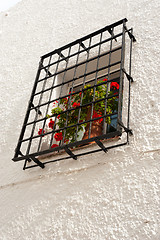 Image showing Andalusian window