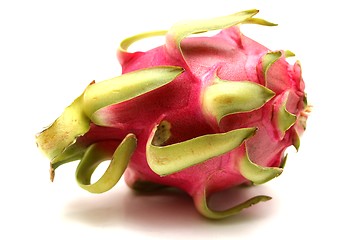 Image showing pitahaya