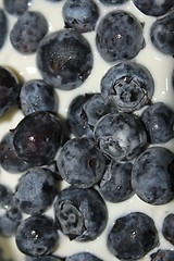 Image showing blueberry quark