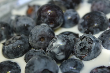 Image showing blueberry quark