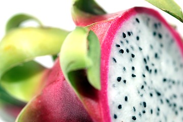 Image showing pitahaya