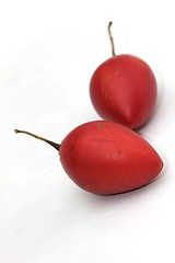 Image showing tamarillos