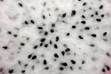 Image showing pitahaya fruitflesh texture