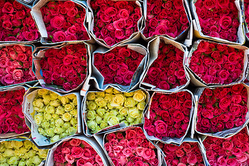 Image showing Wall of roses