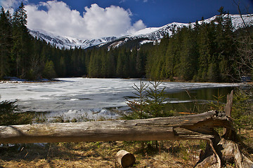 Image showing Early spring in Slovakia mountains