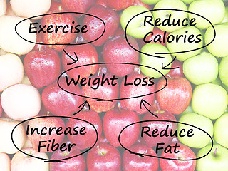 Image showing Weight Loss Diagram Shows Fiber Exercise Fat And Calories