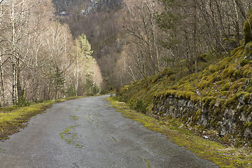 Image showing run-down road in rural landscape