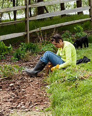 Image showing Lady gardener pulling up weeds in flowerbed