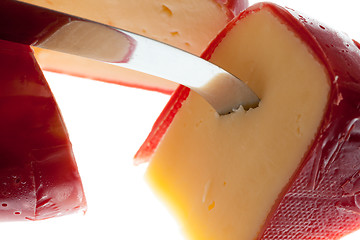 Image showing Round wax covered dutch edam gouda cheese