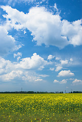 Image showing  meadow