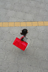 Image showing Shopping woman