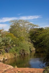 Image showing Waterhole