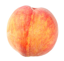 Image showing Only big fresh orange peach