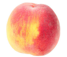 Image showing Single a big orange peach