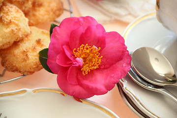 Image showing Camellia With Food