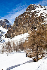 Image showing Sunny day on Alps