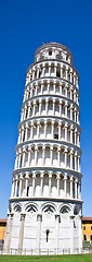 Image showing Leaning tower of Pisa