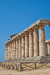 Image showing Paestum temple - Italy