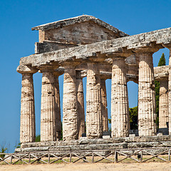 Image showing Paestum temple - Italy