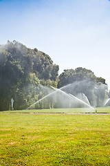 Image showing Luxury garden: irrigation